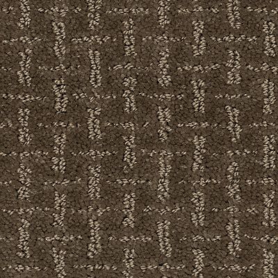 Mohawk - Mesquite - Timeless Form - SmartStrand - Carpet