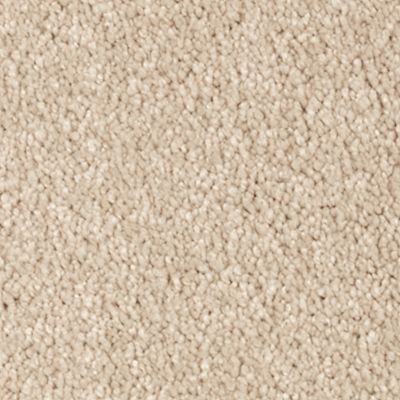 Mohawk - Beach Pebble - Natural Splendor II - SmartStrand Silk - Carpet