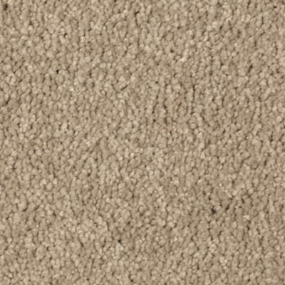 Mohawk - Toasted Bagel - Natural Splendor II - SmartStrand Silk - Carpet