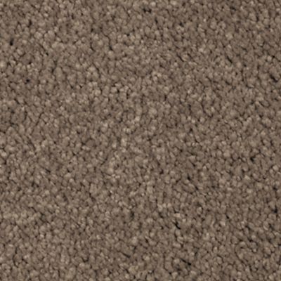 Mohawk - Pine Cone - Natural Splendor II - SmartStrand Silk - Carpet