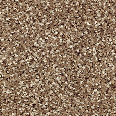 Mohawk - Rich Earth - Natural Refinementii - SmartStrand Silk - Carpet