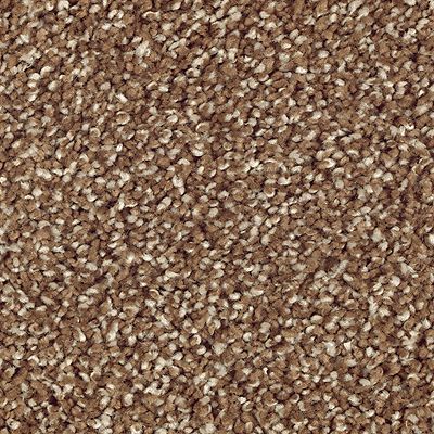 Mohawk - Cat-Tail - Natural Refinementii - SmartStrand Silk - Carpet
