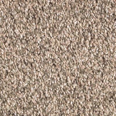 Mohawk - Desert Scene - Nature's Elegance - SmartStrand - Carpet