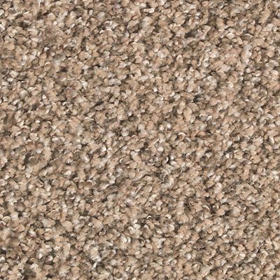 Mohawk - Pebble Path - Nature's Elegance - SmartStrand - Carpet