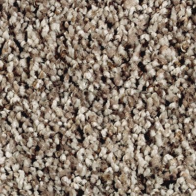 Mohawk - Dried Peat - Softly Elegant I - EverStrand Soft Appeal - Carpet