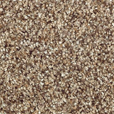 Mohawk - Cobble Path - Nature's Luxury I - SmartStrand Silk - Carpet