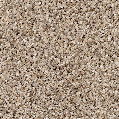 Mohawk - Fallen Timber - Nature's Luxury I - SmartStrand Silk - Carpet