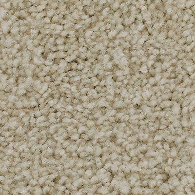 Mohawk - Winter Wind - Effortless Choice - SmartStrand - Carpet