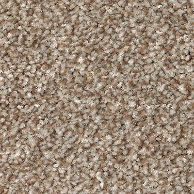 Mohawk - Americana - True Harmony - SmartStrand - Carpet