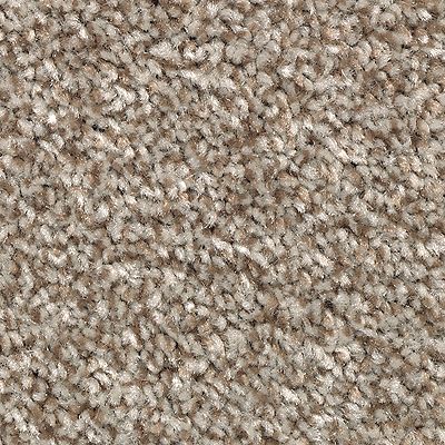 Mohawk - Dakota - True Unity - SmartStrand - Carpet