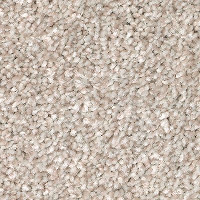 Mohawk - Turnstone - True Unity - SmartStrand - Carpet