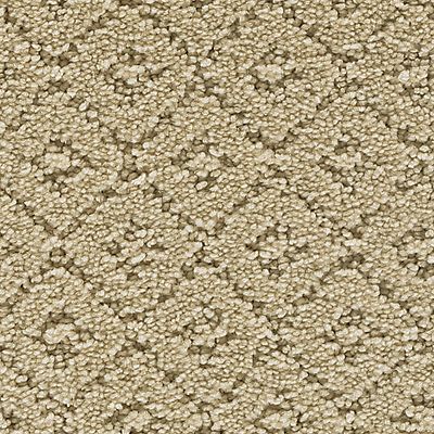 Mohawk - Lamb's Wool - Remarkable Elegance - SmartStrand - Carpet