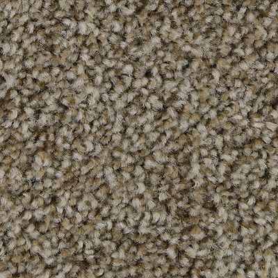 Mohawk - Hickory Tan - Polished Shades II - SmartStrand - Carpet