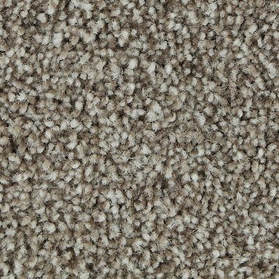 Mohawk - Prairie Dusk - Polished Shades II - SmartStrand - Carpet