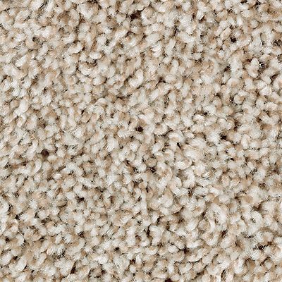 Mohawk - Thatch Roof - Perfect Attraction - SmartStrand - Carpet