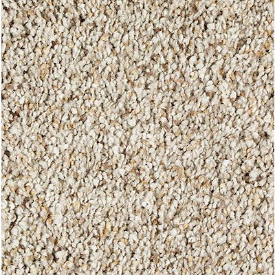 Mohawk - Jack Rabbit - Exquisite Appeal - SmartStrand Silk - Carpet