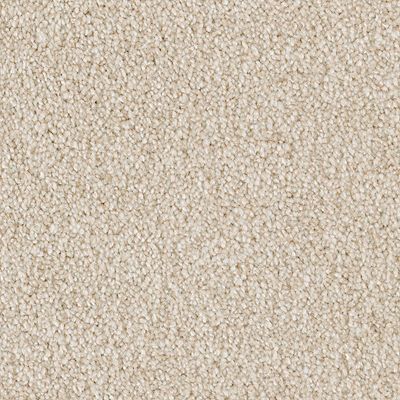 Mohawk - Homemade - Ideal Outlook - SmartStrand - Carpet