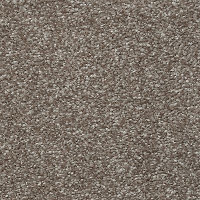 Mohawk - Tradition - Ideal Outlook - SmartStrand - Carpet