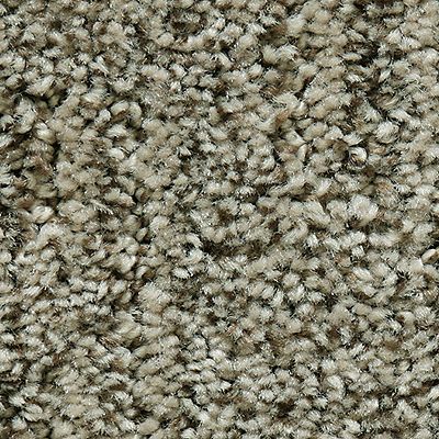 Mohawk - Rustic Beam - Random Nature - EverStrand - Carpet