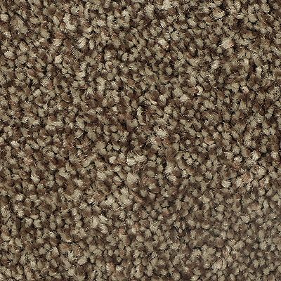 Mohawk - Native Soil - Distinct Beauty I - EverStrand - Carpet