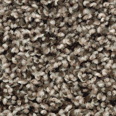 Mohawk - Autumn Leaf - Artist's Slate - SmartStrand - Carpet