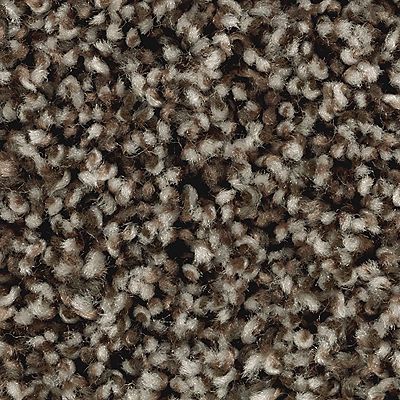 Mohawk - Imperial Brown - Artist's Slate - SmartStrand - Carpet