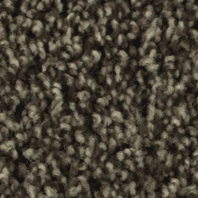 Mohawk - Imperial Brown - Artistic Allure - SmartStrand - Carpet