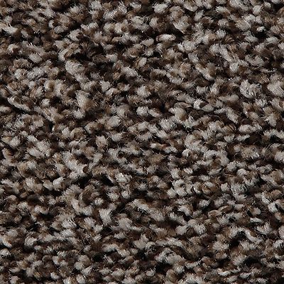 Mohawk - Imperial Brown - Artistic Retreat - SmartStrand - Carpet