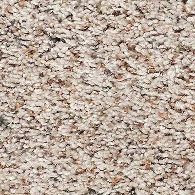 Mohawk - Alpine Lace - Earthly Details I - SmartStrand - Carpet