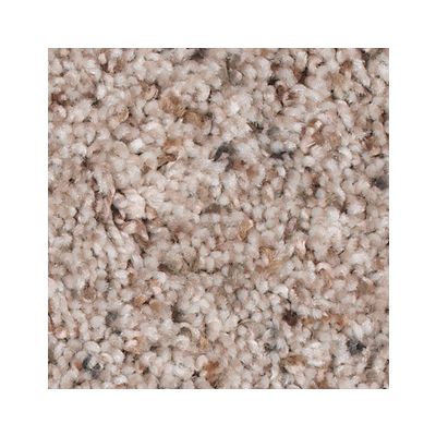 Mohawk - Alpine Lace - Earthly Details II - SmartStrand - Carpet