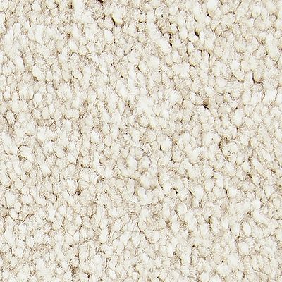 Mohawk - Balsam Beige - Noteworthy Selection - SmartStrand - Carpet