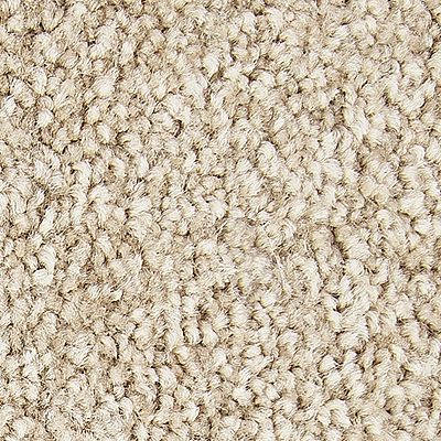 Mohawk - Canyon Shade - Noteworthy Selection - SmartStrand - Carpet