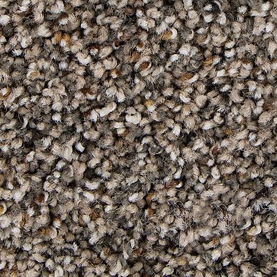 Mohawk - Raleigh - Unique Direction - SmartStrand - Carpet