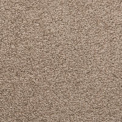 Mohawk - Tudor Brown - Pleasant Touch - SmartStrand Silk - Carpet