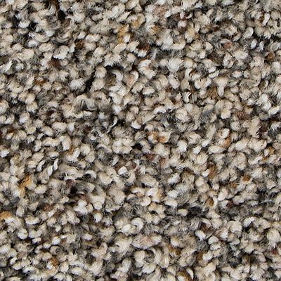 Mohawk - Doe - Remarkable Vision - SmartStrand - Carpet