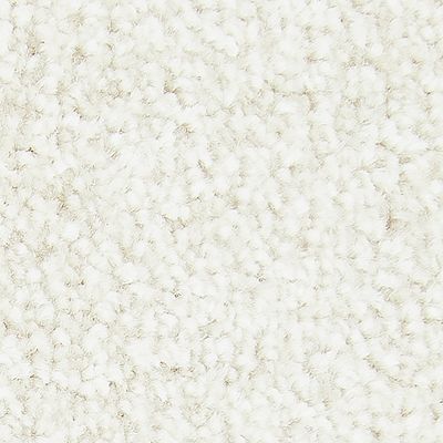 Mohawk - Almost White - Exceptional Choice - SmartStrand - Carpet