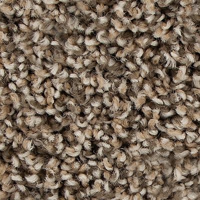 Mohawk - Bridle - Color Fusion I - EverStrand - Carpet