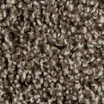 Mohawk - Taupe Whisper - Color Fusion I - EverStrand - Carpet