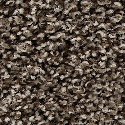 Mohawk - Highlander - Color Fusion I - EverStrand - Carpet