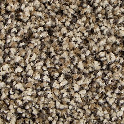 Mohawk - Brown Sugar - Soft Intrigue I - EverStrand Soft Appeal - Carpet