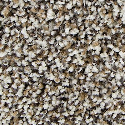 Mohawk - Arctic Ivory - Soft Intrigue II - EverStrand Soft Appeal - Carpet