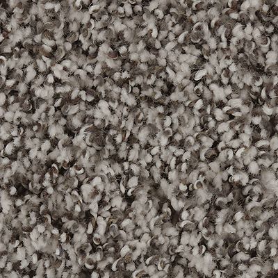 Mohawk - White Wash - Exquisite Accent - SmartStrand - Carpet