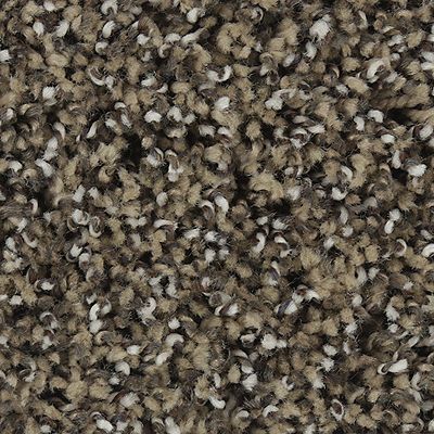 Mohawk - Garden Bramble - Exquisite Character - SmartStrand - Carpet