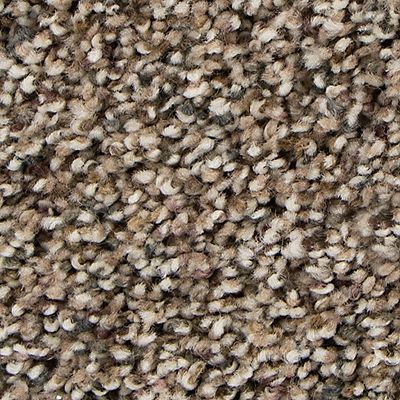Mohawk - Mineral Deposit - Soft Distinction I - EverStrand Soft Appeal - Carpet