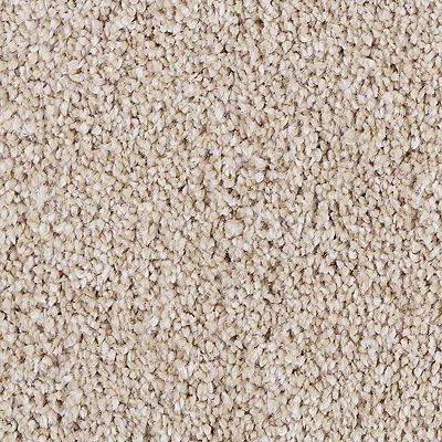 Mohawk - Harmonious - Delicate Tones II - SmartStrand - Carpet