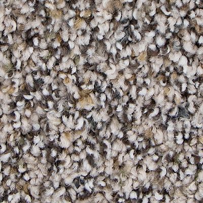 Mohawk - Frosted Almond - Unique Direction - SmartStrand - Carpet