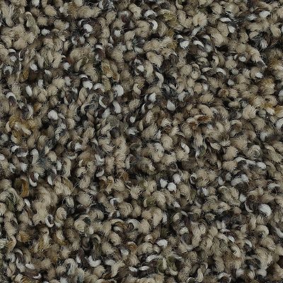 Mohawk - Cedar - Captivating Outlook - SmartStrand - Carpet