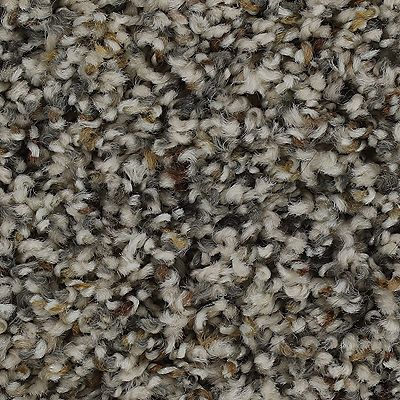 Mohawk - Elmwood - Captivating Outlook - SmartStrand - Carpet