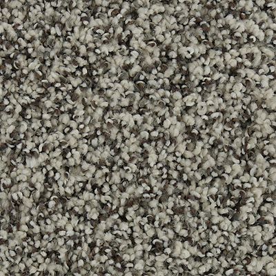 Mohawk - Winter's End - Natural Opulence I - SmartStrand Silk - Carpet