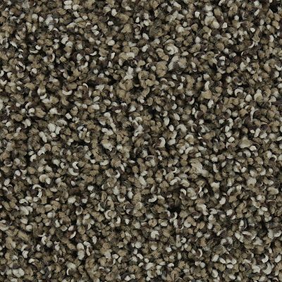 Mohawk - Mission - Natural Opulence I - SmartStrand Silk - Carpet